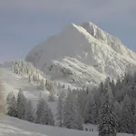 Alpendorf Dachstein West 15