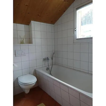 Alpendorf Dachstein West 15 アンベルク・イム・ランマータール