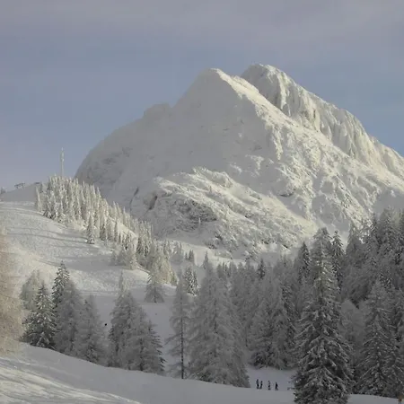 Alpendorf Dachstein West 15