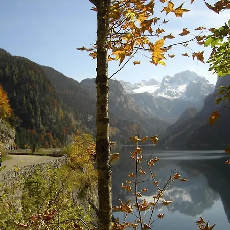 Alpendorf Dachstein West 15 別荘 アンベルク・イム・ランマータール