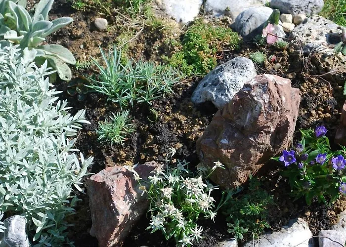 Alpendorf Dachstein West 15 別荘 *