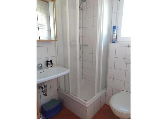 Alpendorf Dachstein West 15 * アンベルク・イム・ランマータール